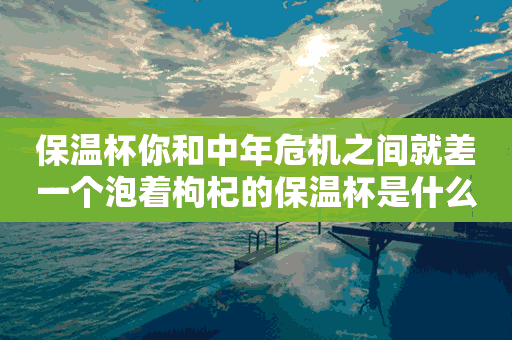 保温杯你和中年危机之间就差一个泡着枸杞的保温杯是什么意思